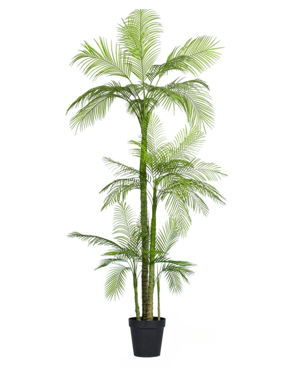 Areca Palm (Life - life Artificial) - Potted plant - 5052359161416 - Tumbleweed Plants - Online Plant Delivery Singapore