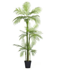 Areca Palm (Life - life Artificial) - Potted plant - 5052359161416 - Tumbleweed Plants - Online Plant Delivery Singapore