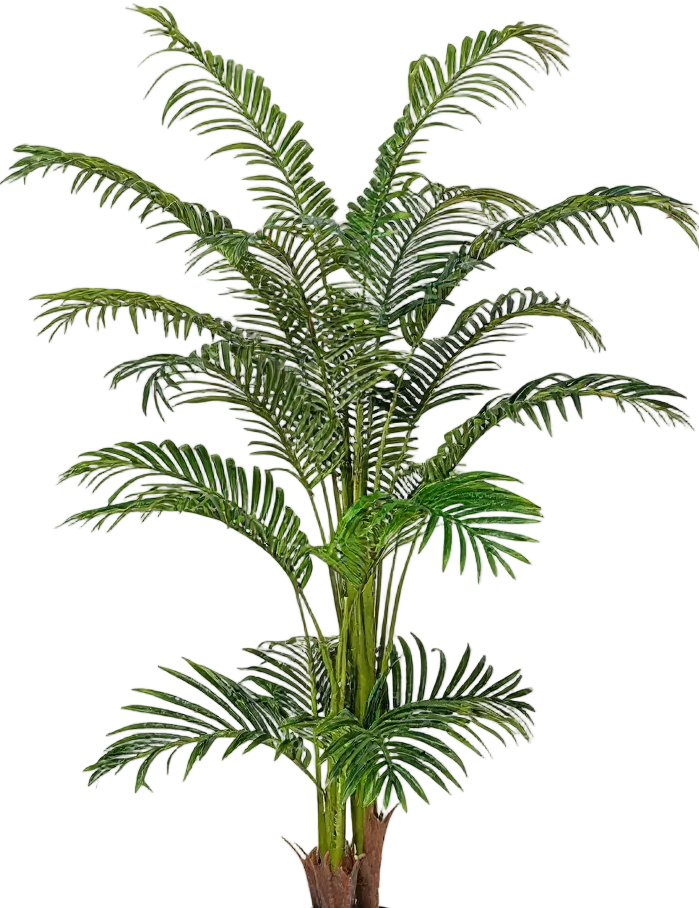 Bamboo Palm (Life-life Artificial)