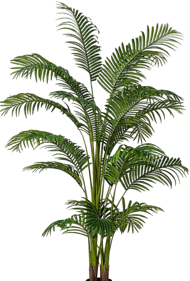 Bamboo Palm (Life-life Artificial)