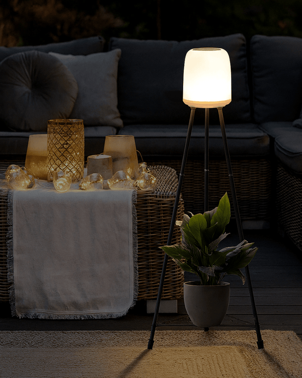 AuraSol Garden Ambient Solar Lights - Garden Lights - 5382156228806 - Tumbleweed Plants - Online Plant Delivery Singapore