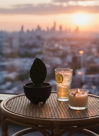 Baby Whale Fin Sansevieria in Wabi Sabi Coal Planter