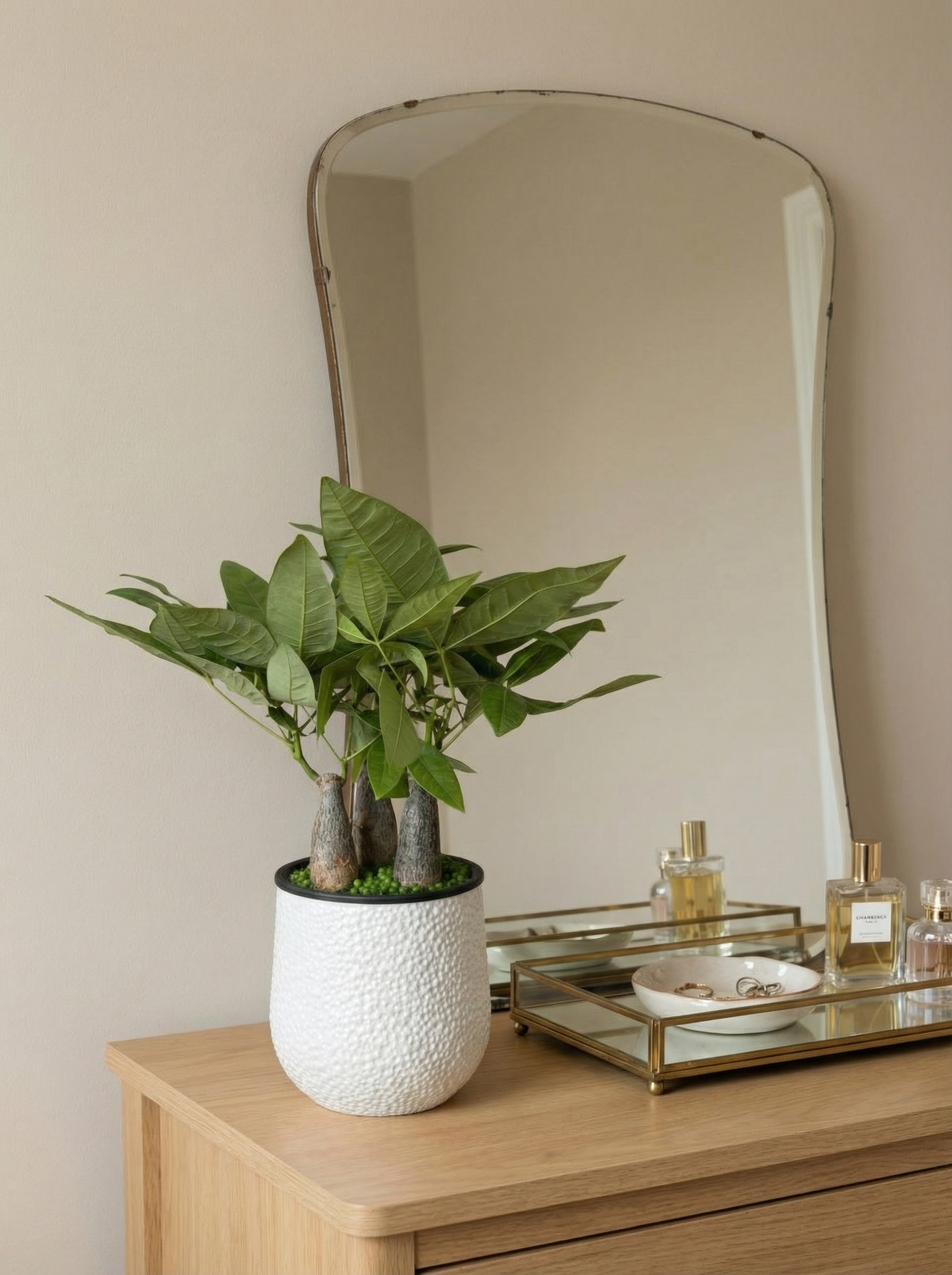 Money Tree Skyrocket HydroEase