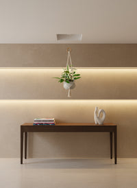 Hoya carnosa - small