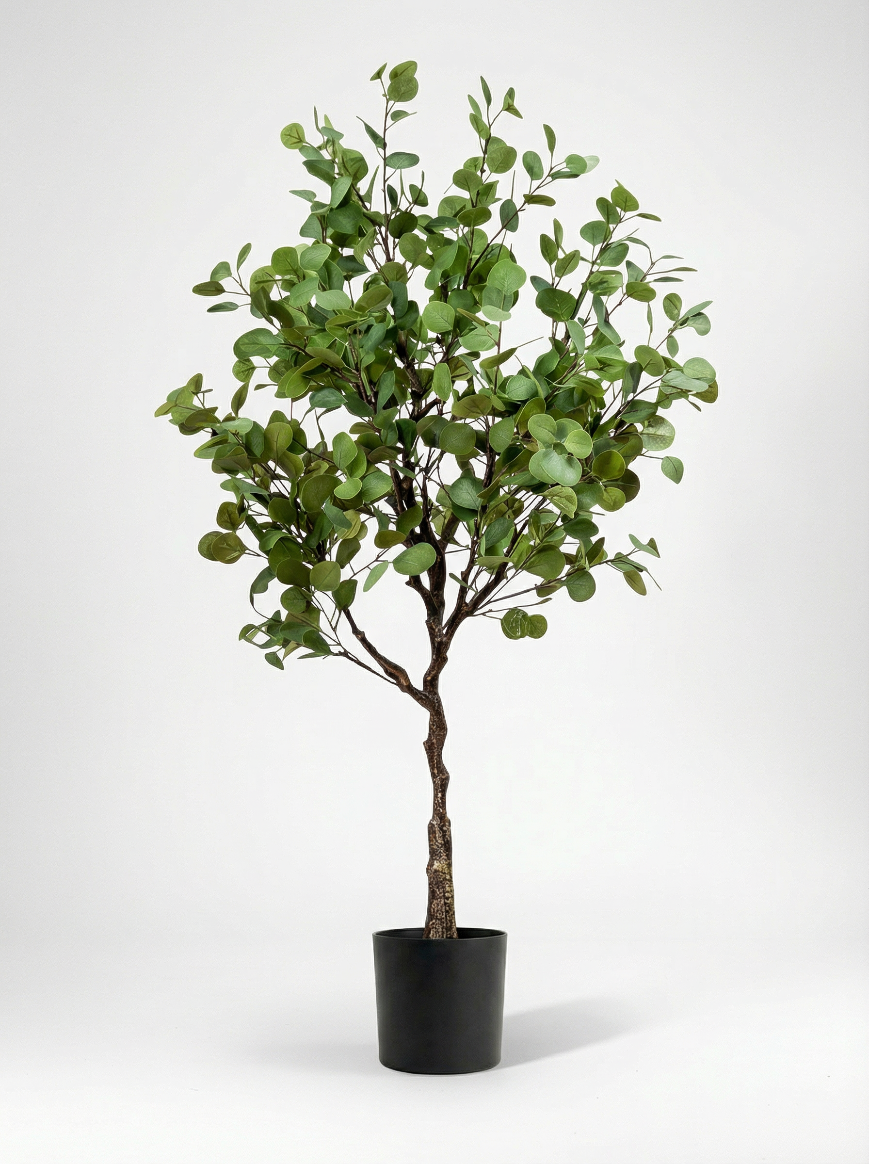 Green eucalyptus 180cm