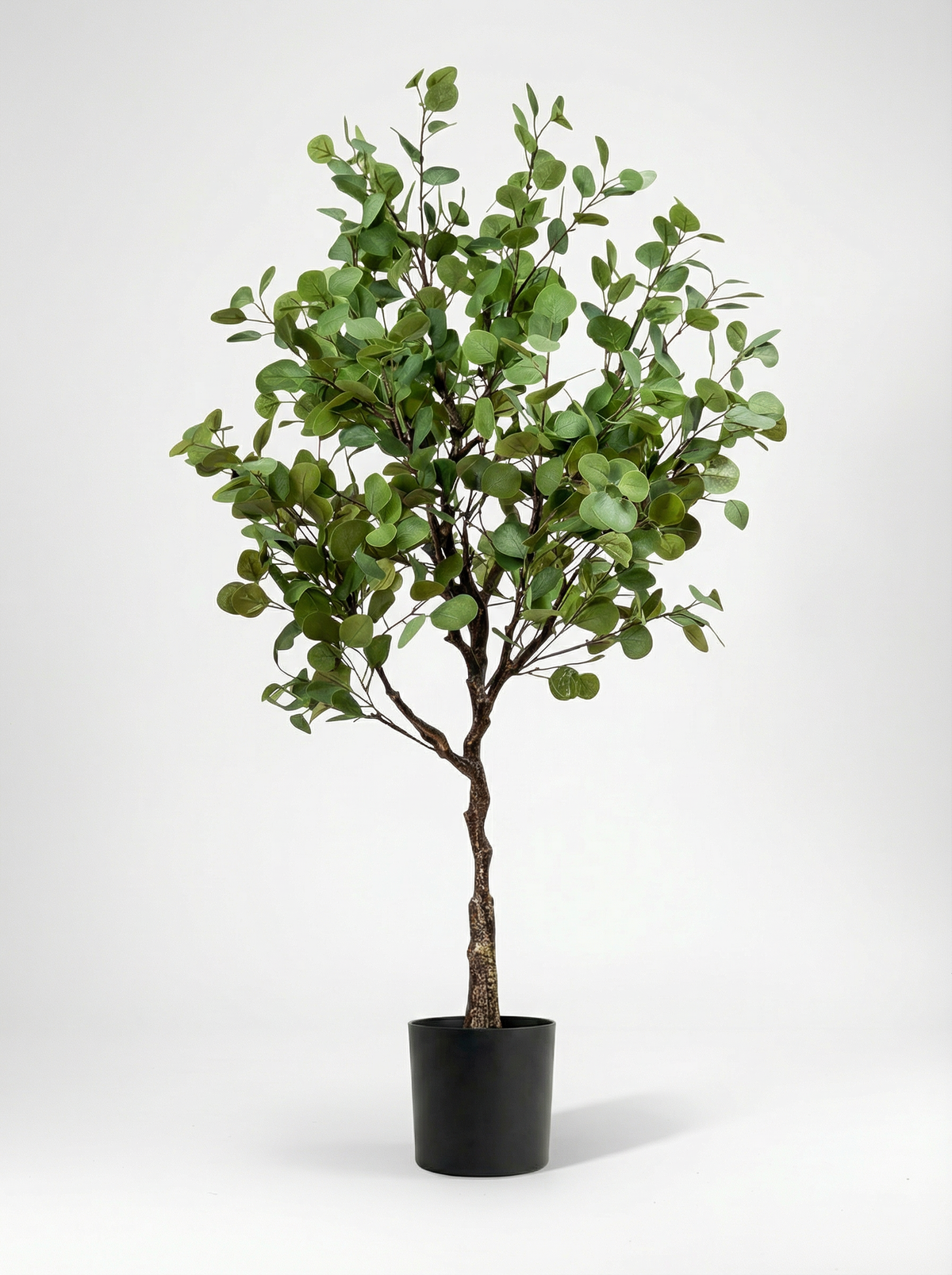 Eucalyptus (Life-like Artificial)