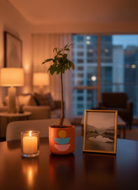 Money Tree Bottle-Trunk