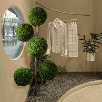 Ball Tree - Real - Trunk Artificial - Potted plant - 5516314535782 - Tumbleweed Plants - Online Plant Delivery Singapore