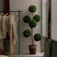 Ball Tree - Real - Trunk Artificial - Potted plant - 5516314535783 - Tumbleweed Plants - Online Plant Delivery Singapore
