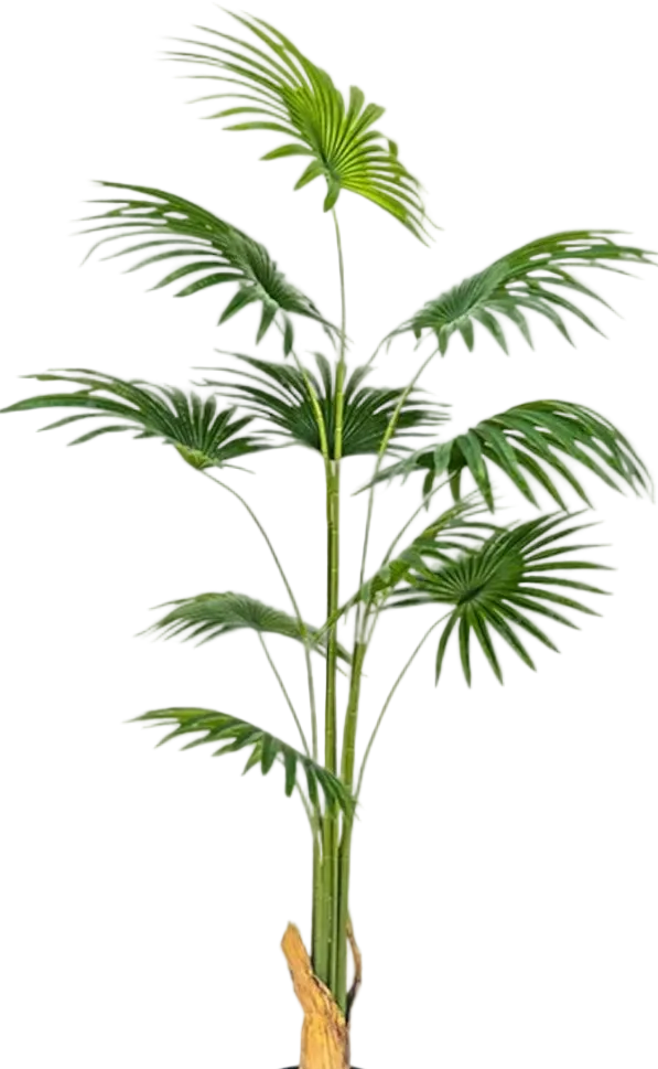 Bamboo Palm (Life-life Artificial)