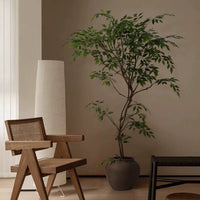 Banyan Tree - Real - Trunk Artificial - Potted plant - POTT - BANY - SWY - 7273 - Tumbleweed Plants - Online Plant Delivery Singapore