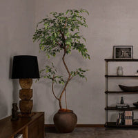 Banyan Tree - Real - Trunk Artificial - Potted plant - POTT - BANY - SWY - 7273 - Tumbleweed Plants - Online Plant Delivery Singapore