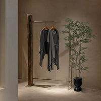 Banyan Tree - Real - Trunk Artificial - Potted plant - 5516314535781 - Tumbleweed Plants - Online Plant Delivery Singapore