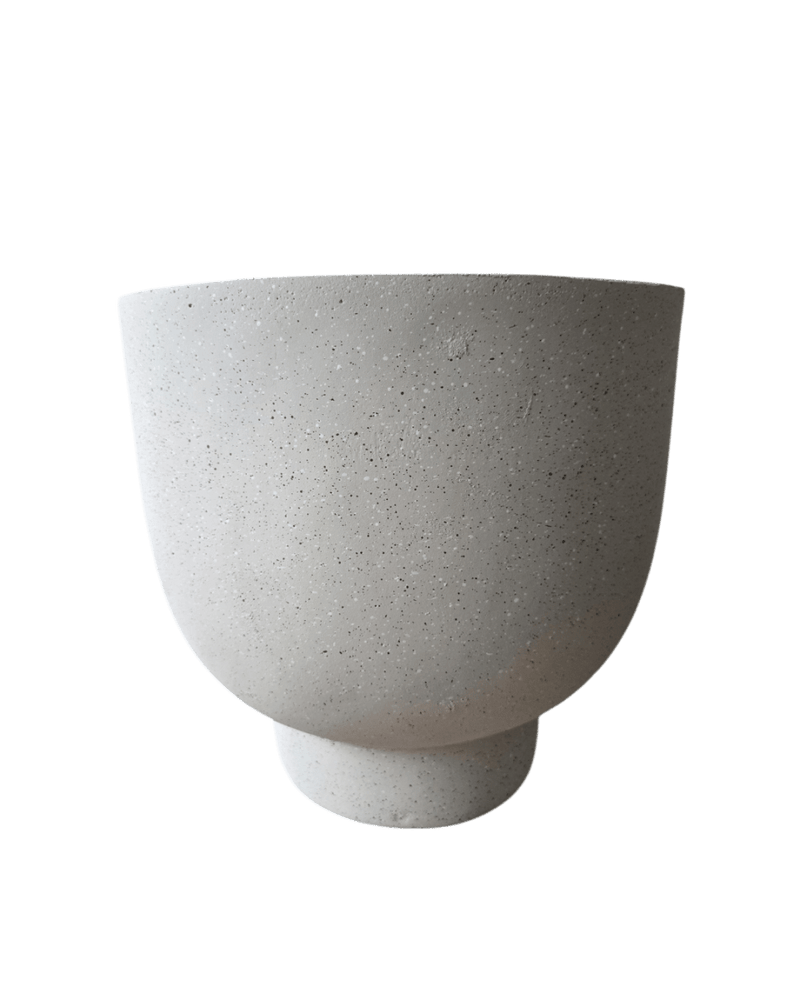 Basso Planter - Planter - 4754535109639 - Tumbleweed Plants - Online Plant Delivery Singapore