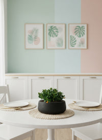 Goldfish Plant - Nematanthus - Potted plant -  Tumbleweed Plants