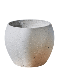 Bela Curve Planter - Pots - 5372900535920 - Tumbleweed Plants - Online Plant Delivery Singapore