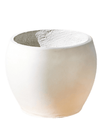 Bela Curve Planter - Pots - 5372900535914 - Tumbleweed Plants - Online Plant Delivery Singapore