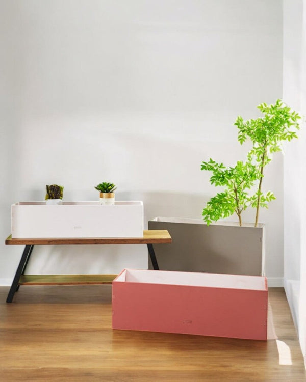 Blumora Planter Box - Pots - 4788324401142 - Tumbleweed Plants - Online Plant Delivery Singapore