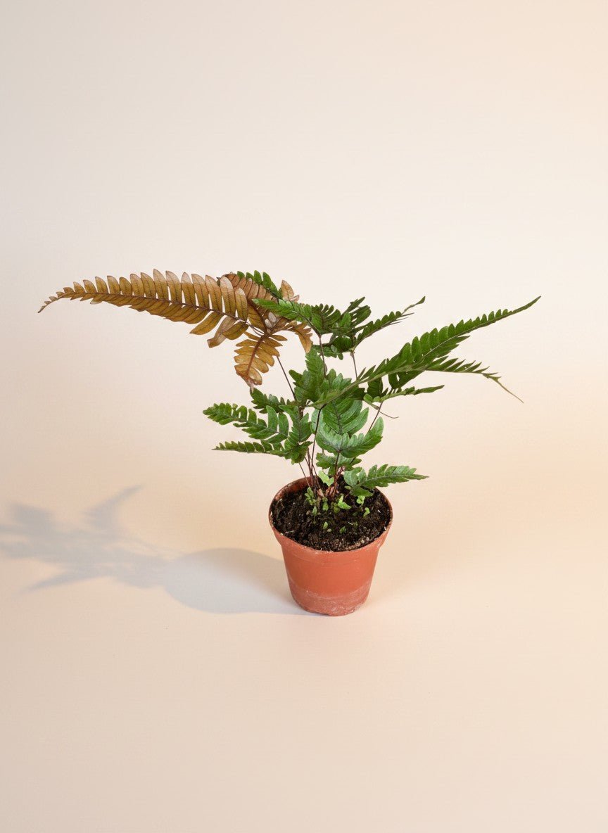 Grow Pot