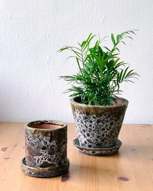 Brown Moon Pot in V - shape - Pots - POTS - BROW - CYL - 6497 - Tumbleweed Plants - Online Plant Delivery Singapore