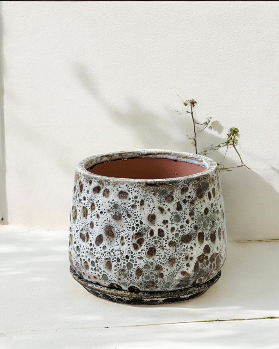 Brown Moon Pot