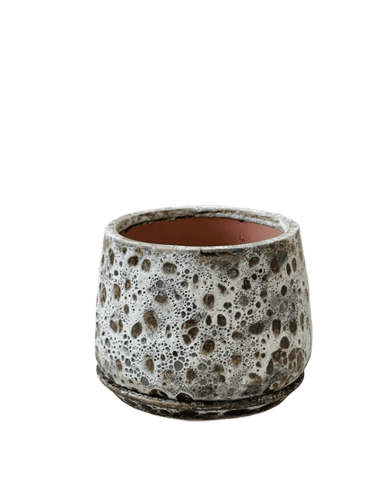 Brown Moon Pot - Large - large (with tray)