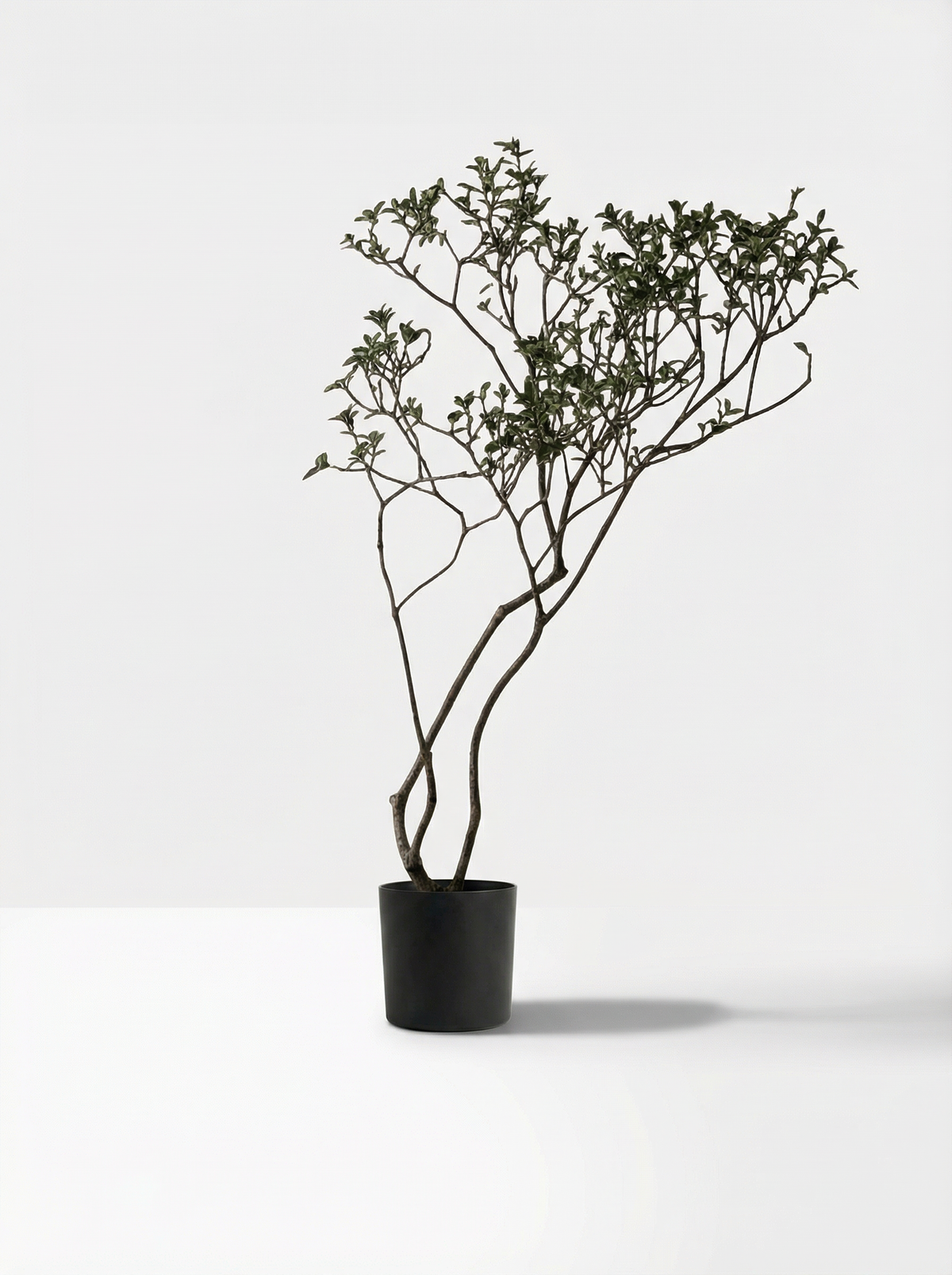 Island Tree - Real-Trunk Artificial