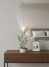 Olive Plant Kodomo - Japan