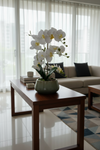 Abundance Royal Phalaenopsis - (Life-like Artificial) - Plant Arrangement -  Tumbleweed Plants