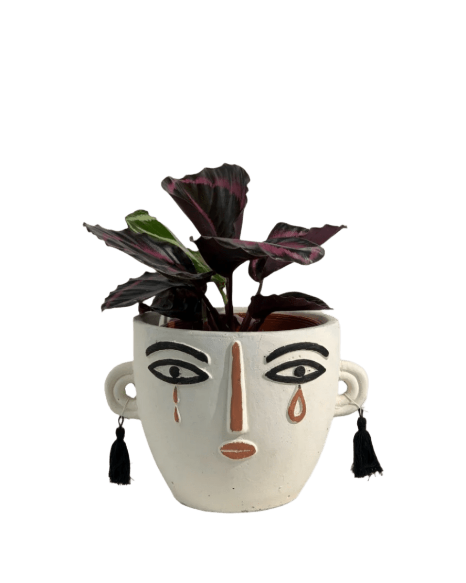 polly planter- white/short