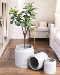 Canister Planter XL - Pots - 4314649429345 - Tumbleweed Plants - Online Plant Delivery Singapore