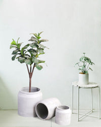 Canister Planter XL - Pots - 4314649429345 - Tumbleweed Plants - Online Plant Delivery Singapore