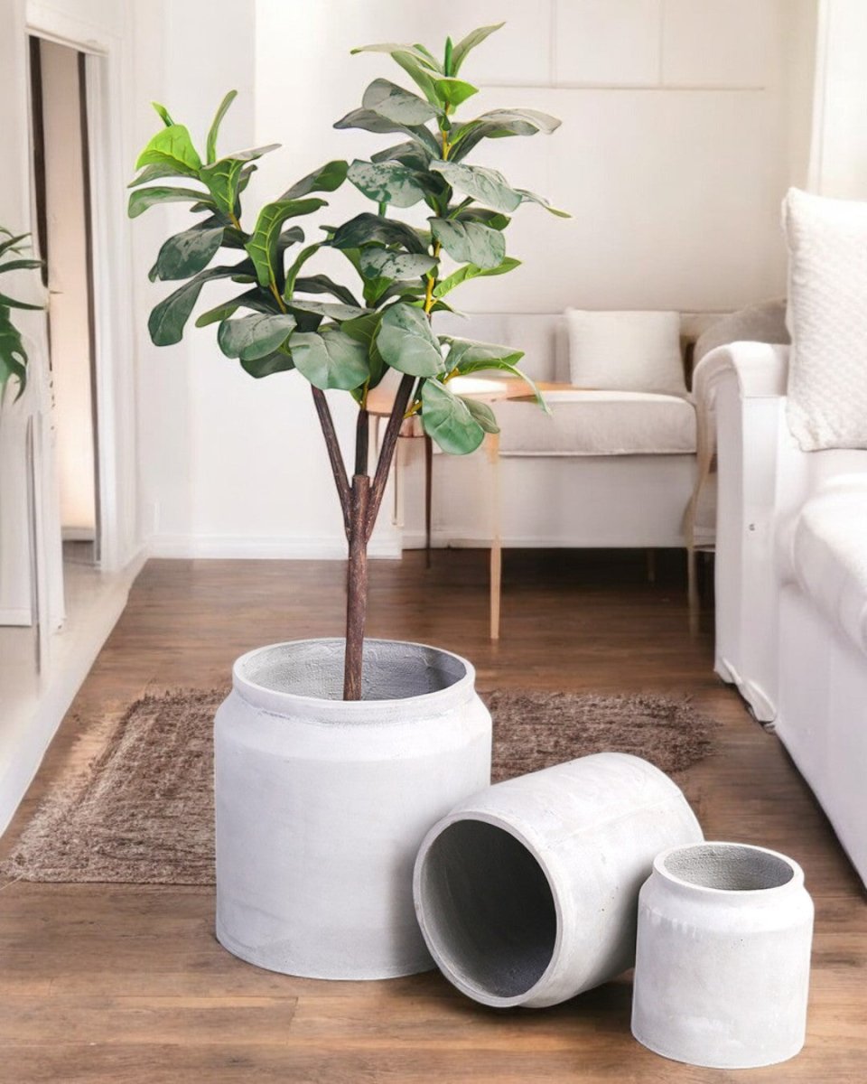 Canister Planter XXL - Pots - 4314649429346 - Tumbleweed Plants - Online Plant Delivery Singapore