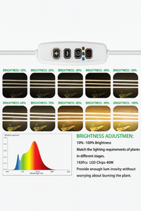 CANOPY LED Grow Light - Plant Lights - 5960061086492 - Tumbleweed Plants - Online Plant Delivery Singapore