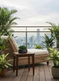 Goldfish Plant - Nematanthus - Potted plant -  Tumbleweed Plants