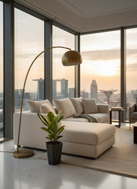 Ficus Elastica Shivereana - Potted plant -  Tumbleweed Plants