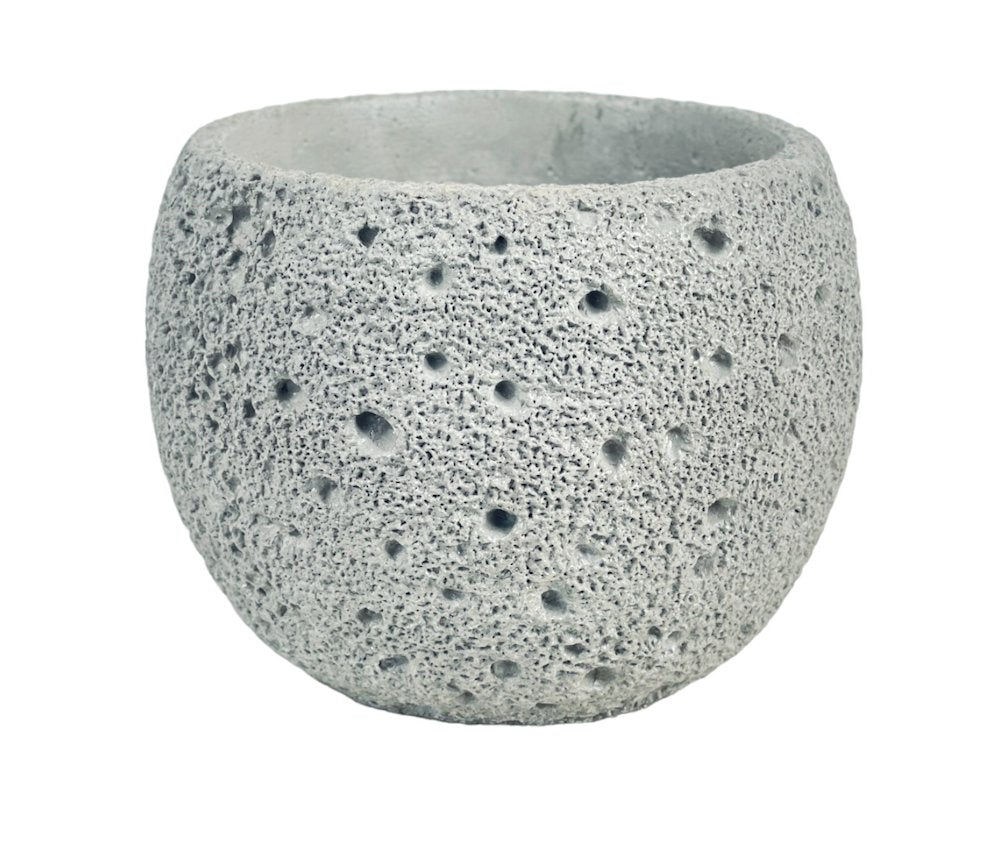 Cement Planter - Round - Pot - Tumbleweed Plants - Online Plant Delivery Singapore