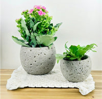 Cement Planter - Round - Pot - Tumbleweed Plants - Online Plant Delivery Singapore