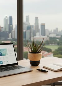 Aloe 'Christmas Carol'