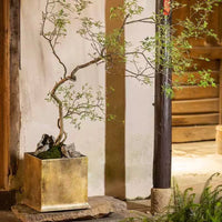 Chaste Tree - Real-Trunk Artificial