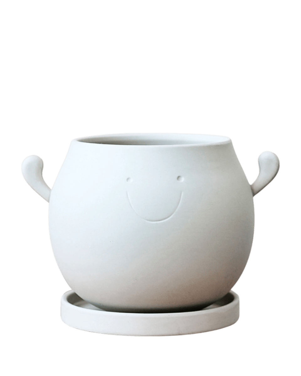 Cheer Planter - Planter - 5887784766543 - Tumbleweed Plants - Online Plant Delivery Singapore
