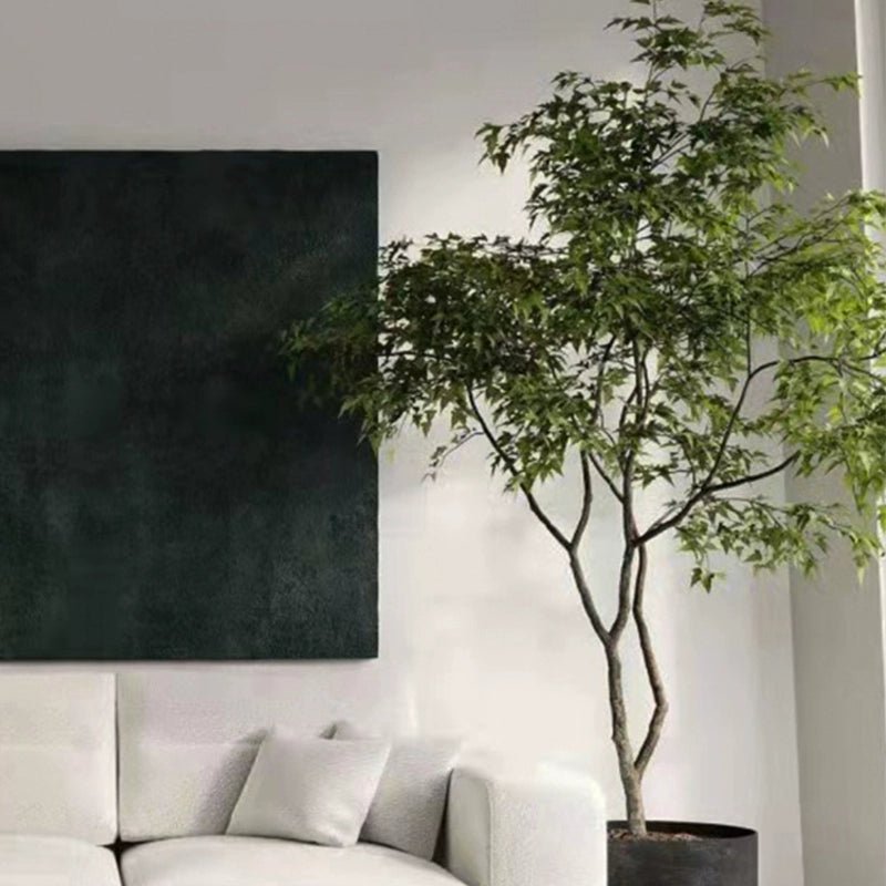 China Doll Tree - Real - Trunk Artificial - Potted plant - 5516314535781 - Tumbleweed Plants - Online Plant Delivery Singapore