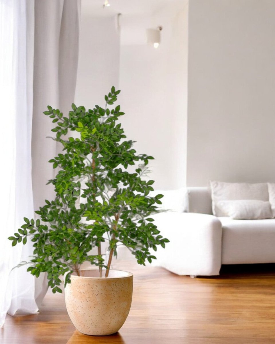 Chinese Money Tree (Faux) - Artificial Plant - 1838465395250561025 - 0 - Tumbleweed Plants - Online Plant Delivery Singapore