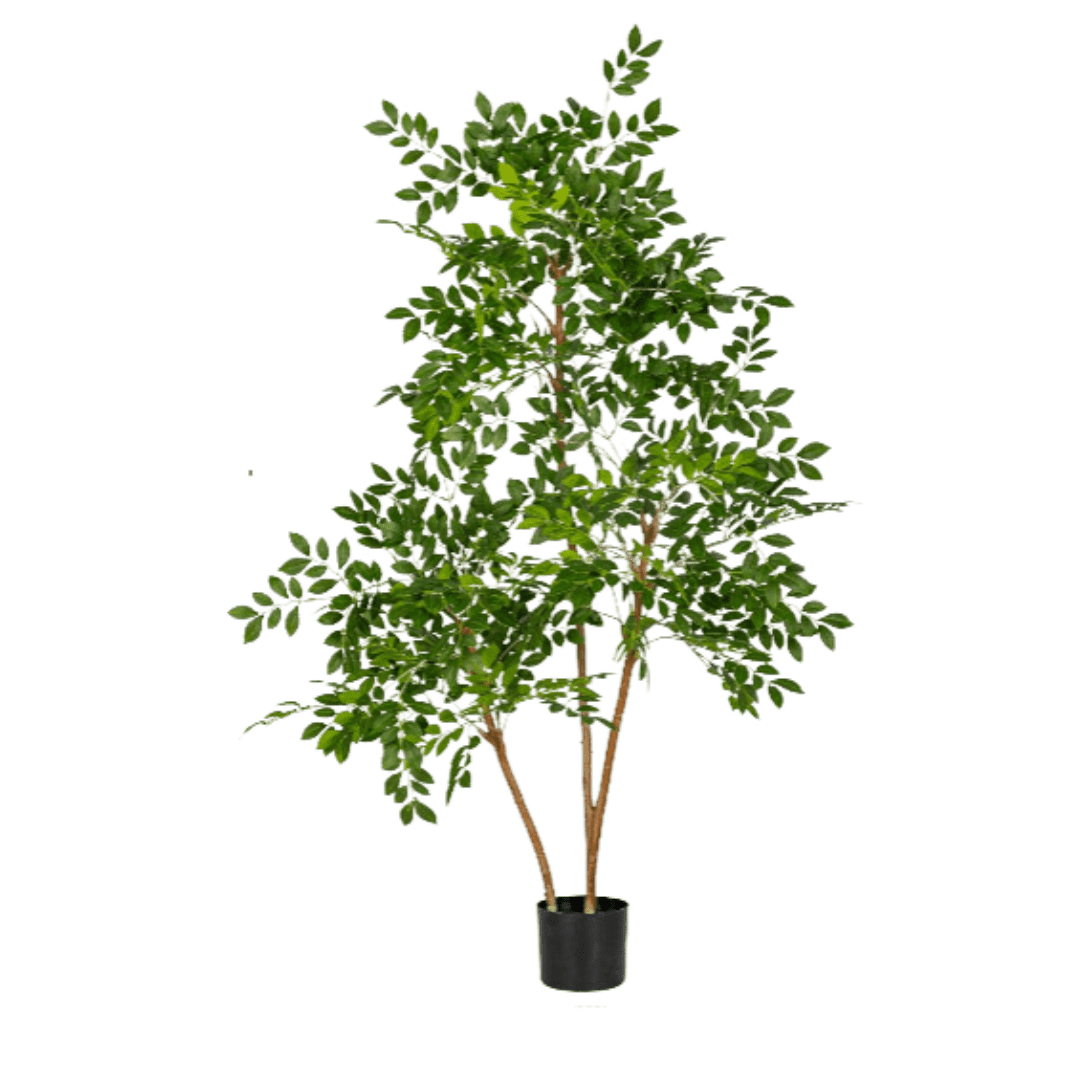 Chinese Money Tree (Faux) - Artificial Plant - 1838465395250561025 - 0 - Tumbleweed Plants - Online Plant Delivery Singapore