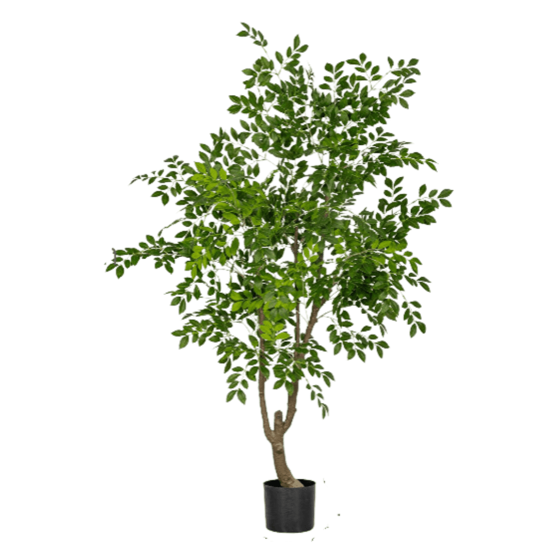 Chinese Money Tree (Faux) - Artificial Plant - 1838465395250561037 - 0 - Tumbleweed Plants - Online Plant Delivery Singapore