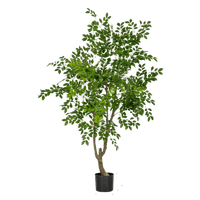 Chinese Money Tree (Faux) - Artificial Plant - 1838465395250561037 - 0 - Tumbleweed Plants - Online Plant Delivery Singapore