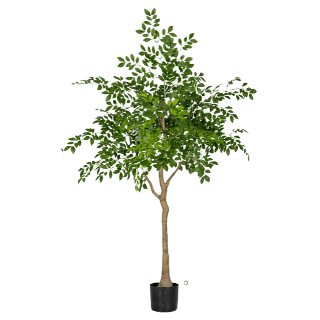 Chinese Money Tree (Faux) - Artificial Plant - 1838465395250561029 - 0 - Tumbleweed Plants - Online Plant Delivery Singapore