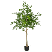 Chinese Money Tree (Faux) - Artificial Plant - 1838465395250561029 - 0 - Tumbleweed Plants - Online Plant Delivery Singapore