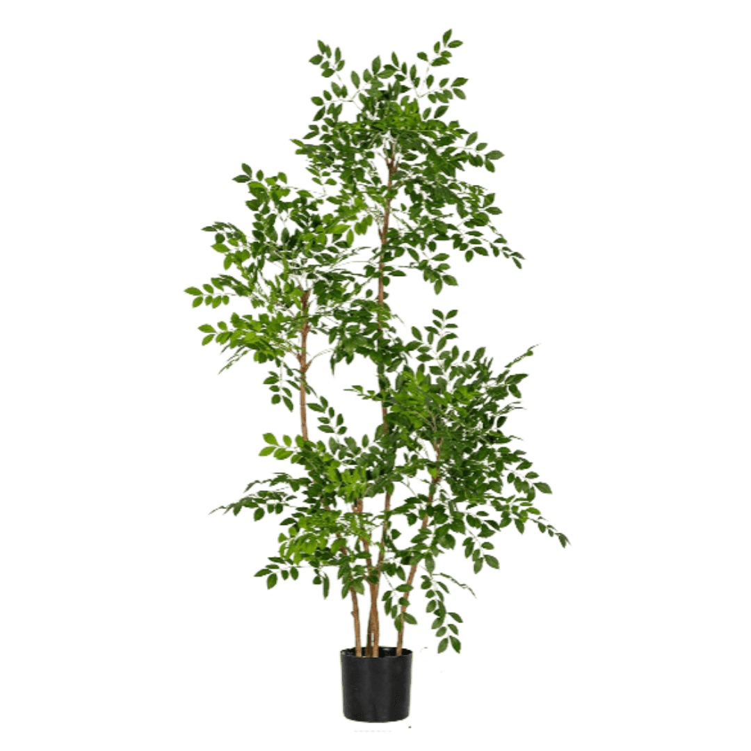 Chinese Money Tree (Faux) - Artificial Plant - 1838465395250561033 - 0 - Tumbleweed Plants - Online Plant Delivery Singapore