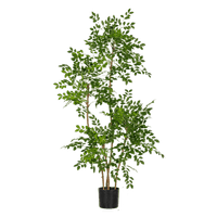 Chinese Money Tree (Faux) - Artificial Plant - 1838465395250561033 - 0 - Tumbleweed Plants - Online Plant Delivery Singapore